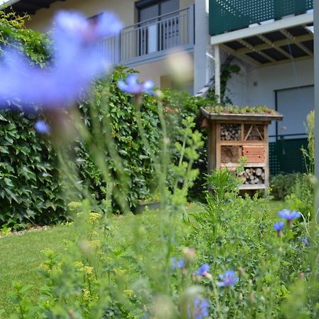 Gaestehaus Schmidt Podersdorf am See Zewnętrze zdjęcie