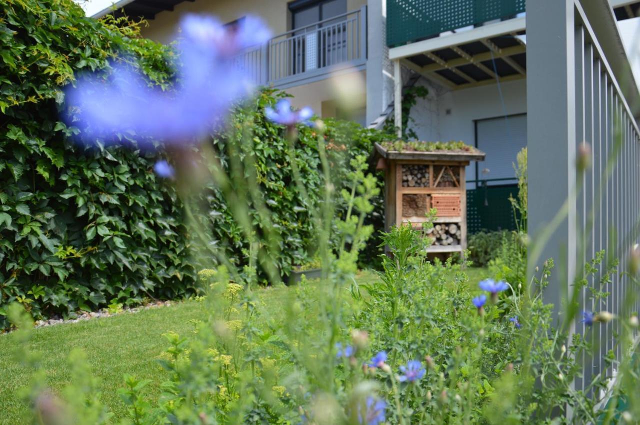 Gaestehaus Schmidt Podersdorf am See Zewnętrze zdjęcie